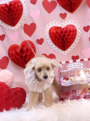 20240218桃果ちゃん